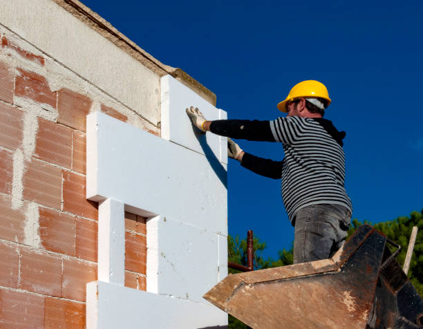 Best Insulation Materials and Products in Pleasant Hill, TX