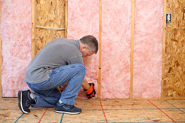 Best Commercial Insulation in Pleasant Hill, TX